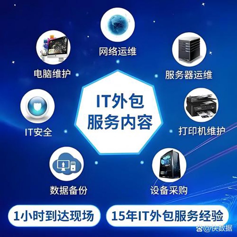 软件行业的创新引擎：上海软件开发公司的崛起